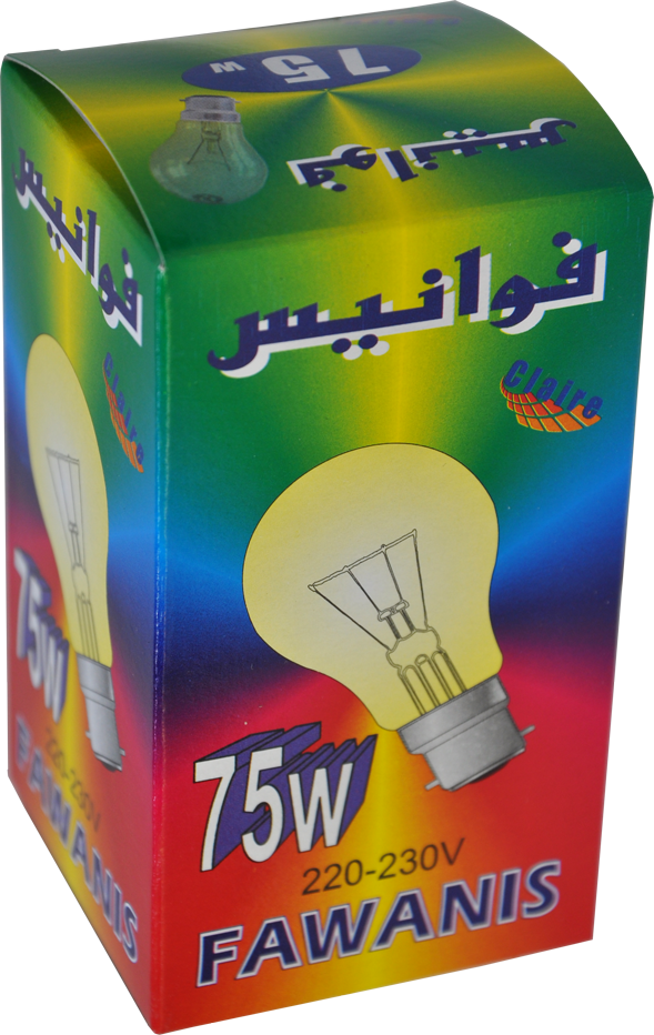 Lampes 75W B22