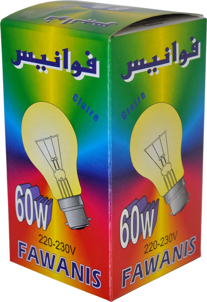 Lampes 60W B22