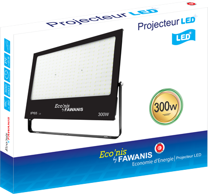 Projecteur 300W